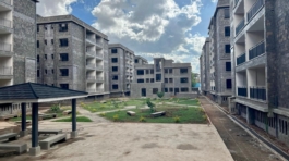 WhatsApp Image 2024-11-28 at 00.46.08