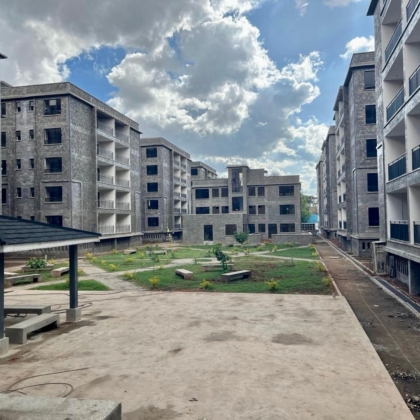 WhatsApp Image 2024-11-28 at 00.46.08